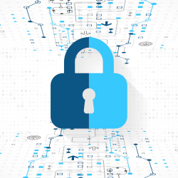 web security