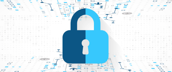 web security
