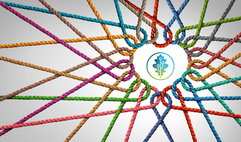 Greenleaf Nonprofit Grants supports communities by supporting the organizations that enrich them.