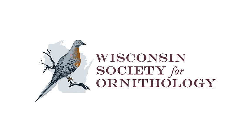 grlf 0004 WSO Logo FNL CMYK O